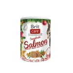 Brit Care Cat Christmas Superfruits